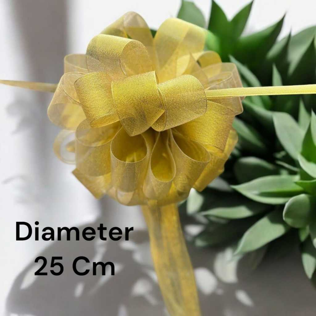 id-11134207-7rbkc-m6yu8s5irq0s45 (1)