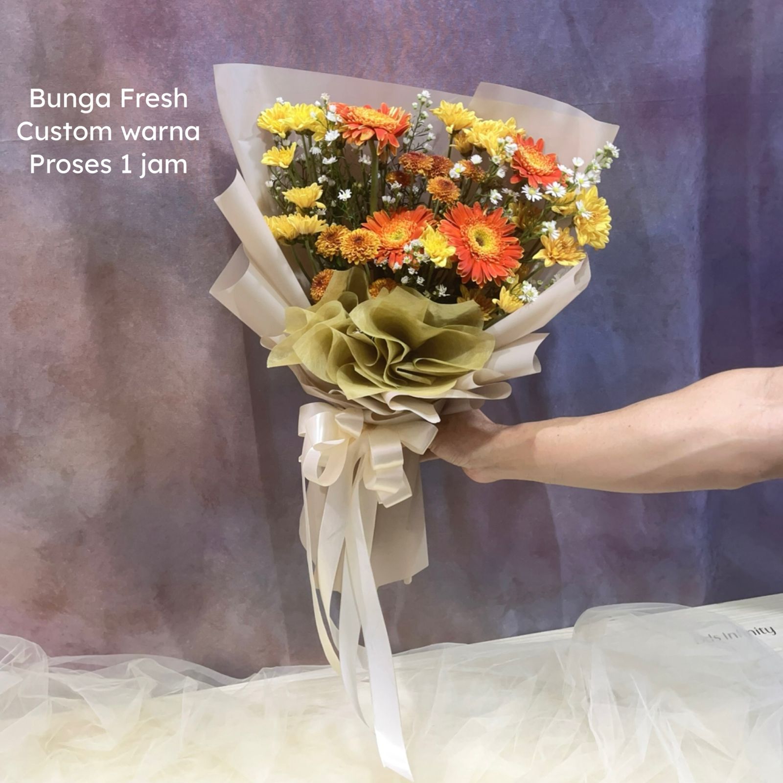 WhatsApp Image 2025-05-05 at 13.24.34