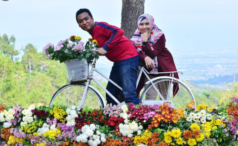 bunga-mawar